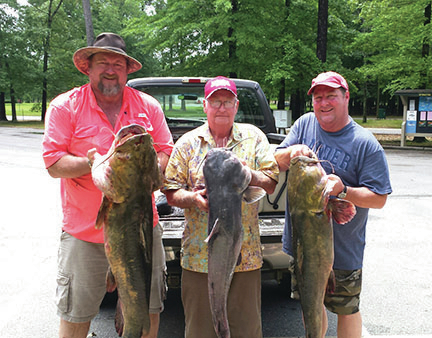 Giant Catches