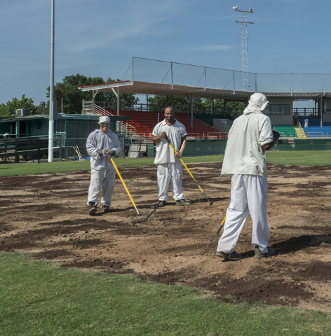 Taylor Field preparing to host World Series