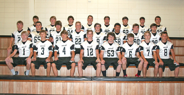 Woodlawn Bears preview