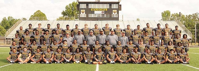 Watson Chapel Wildcats preview