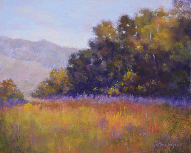Art League to feature Hot Springs Village artist