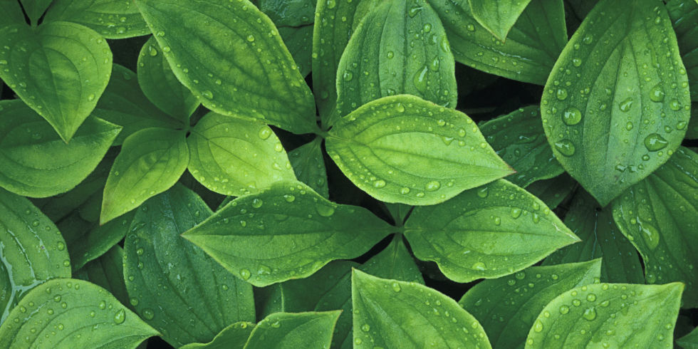5 things to do this weekend in Pine Bluff