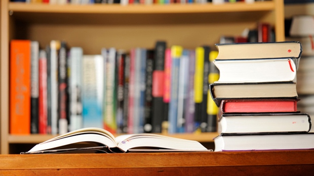 Despite protests, library tax will be on November ballot