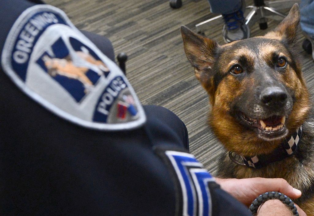 K9 Kina wins Purple Heart and community’s love