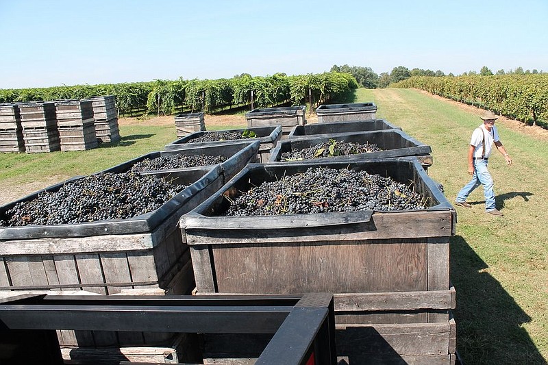 Arkansas wine explained Northwest Arkansas DemocratGazette