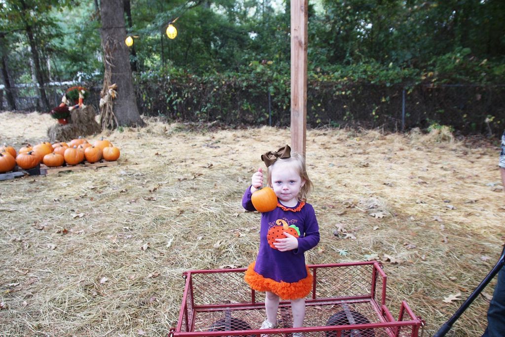 Punkin Pickin’