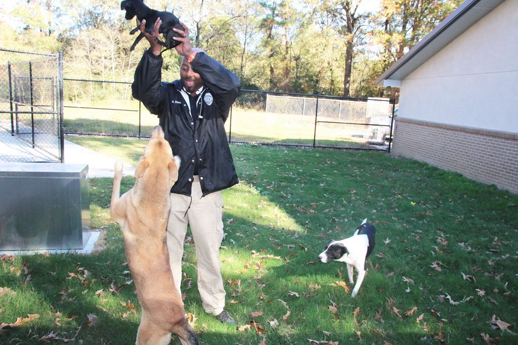 Council debates animal control, blighted properties