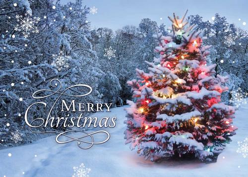 Local educators discuss PB Christmas Card Fund; please donate today