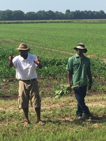 Gold standard – Wabbaseka farmer takes pride in serving on USDA committee