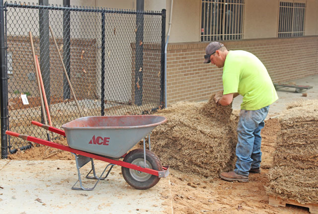 Animal shelter to be completed within weeks