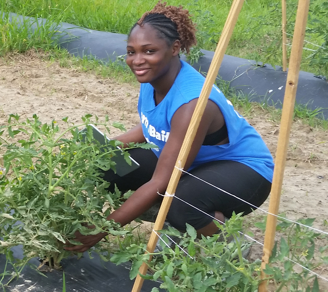 UAPB agribusiness students to conduct field work
