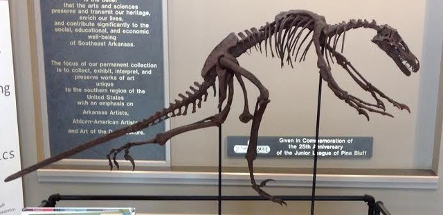 ‘Dinosaurs: Fossils Exposed’ opens at arts center