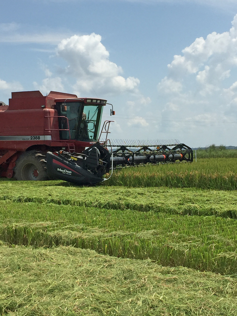 Arkansas agriculture: 2016 review and 2017 preview