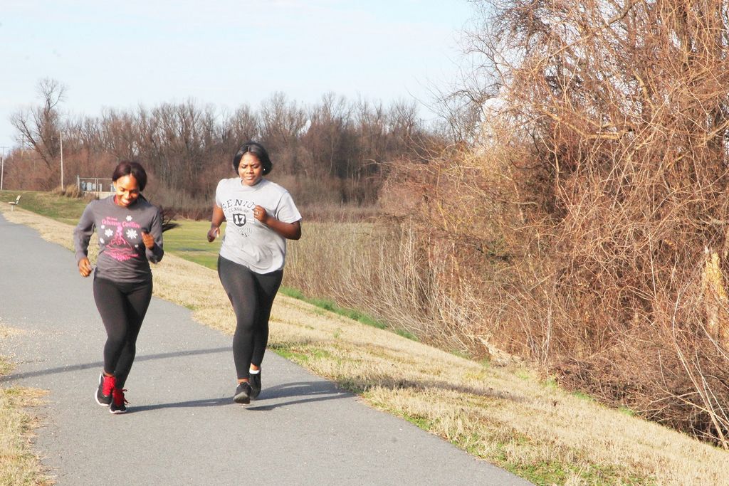 Final phase of Lake Saracen Walking Trail to be completed