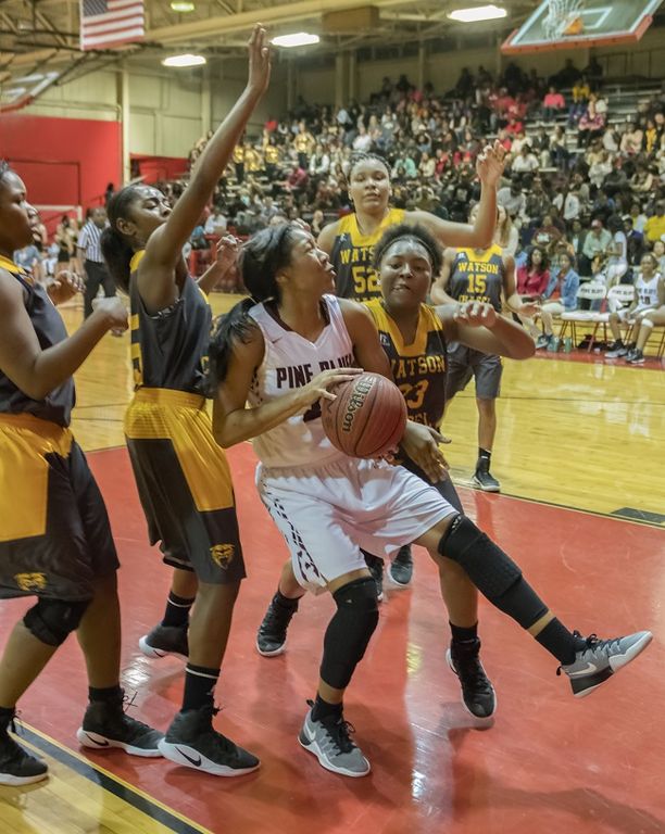 Lady Wildcats take down Fillies