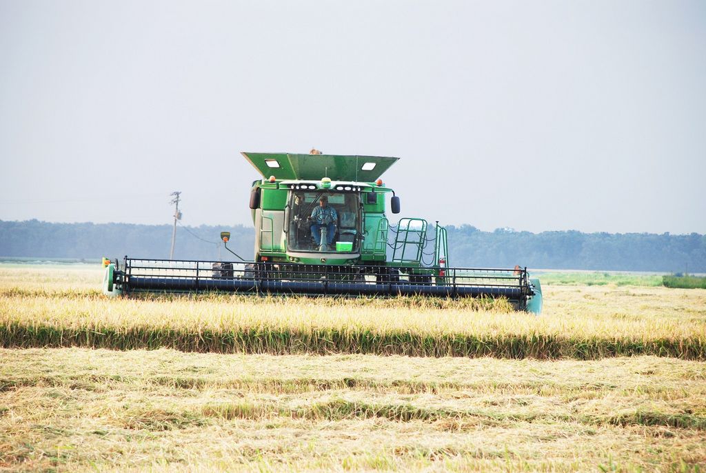 Area farmers try to stay optimistic after rough seasons