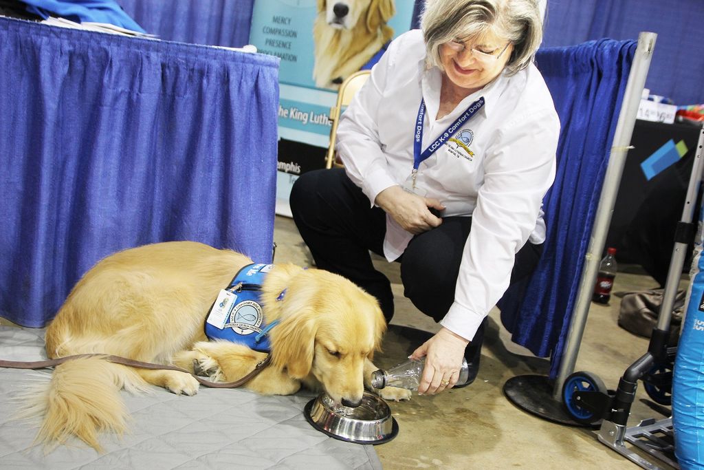 Visitors can find green thumbs, more at Home and Garden show