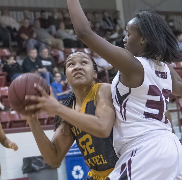 Lady Wildcats down Benton 37-24
