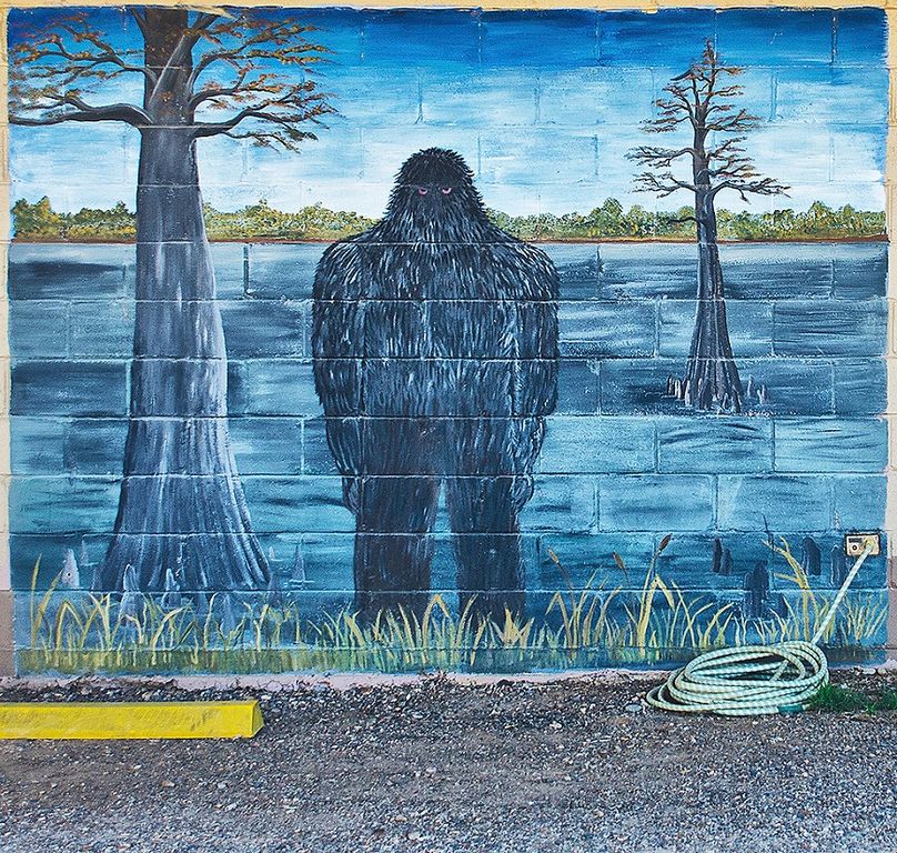 Cryptozoologist makes second book featuring Fouke Monster