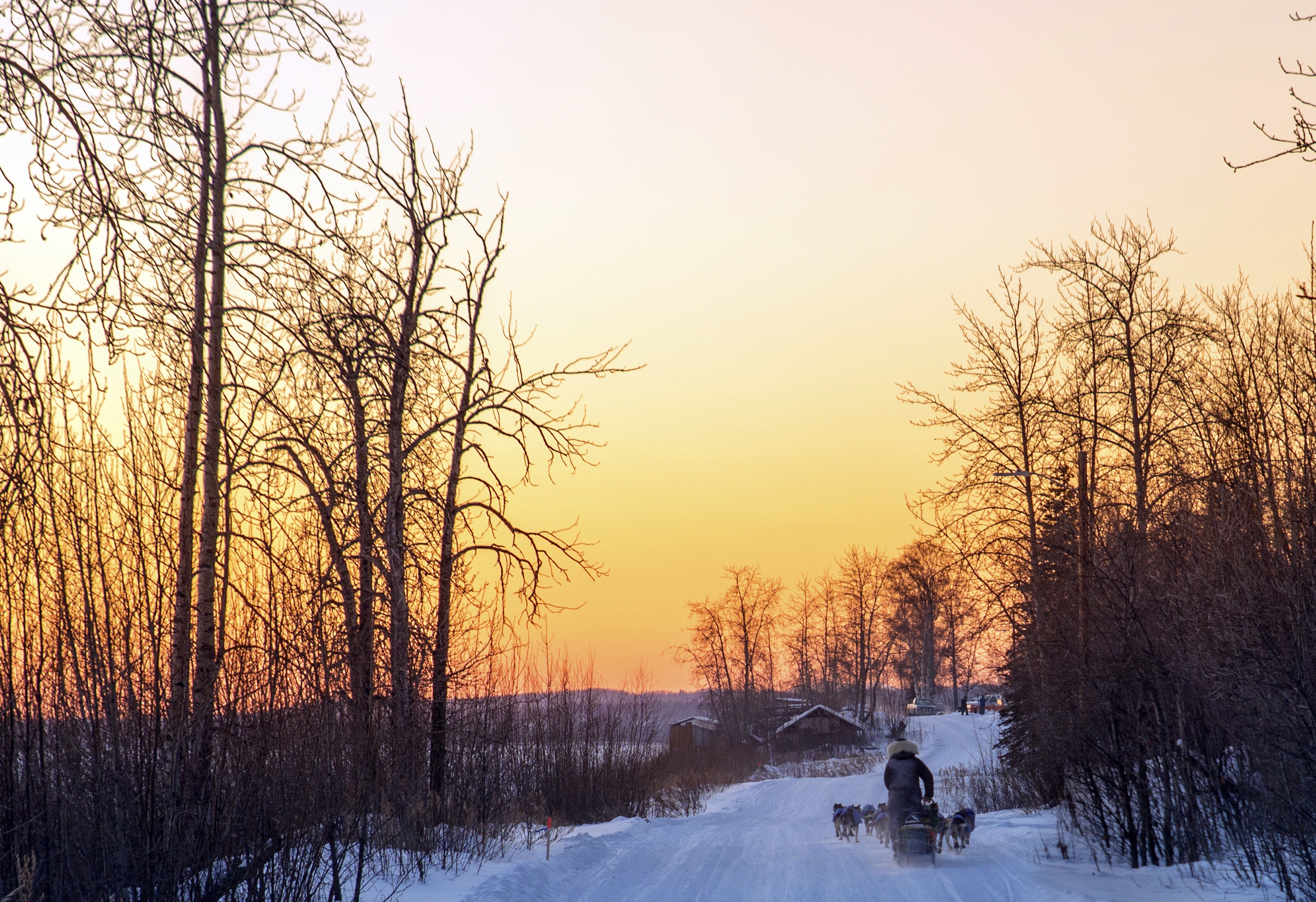 Dogs carry on without sleeping musher at Iditarod