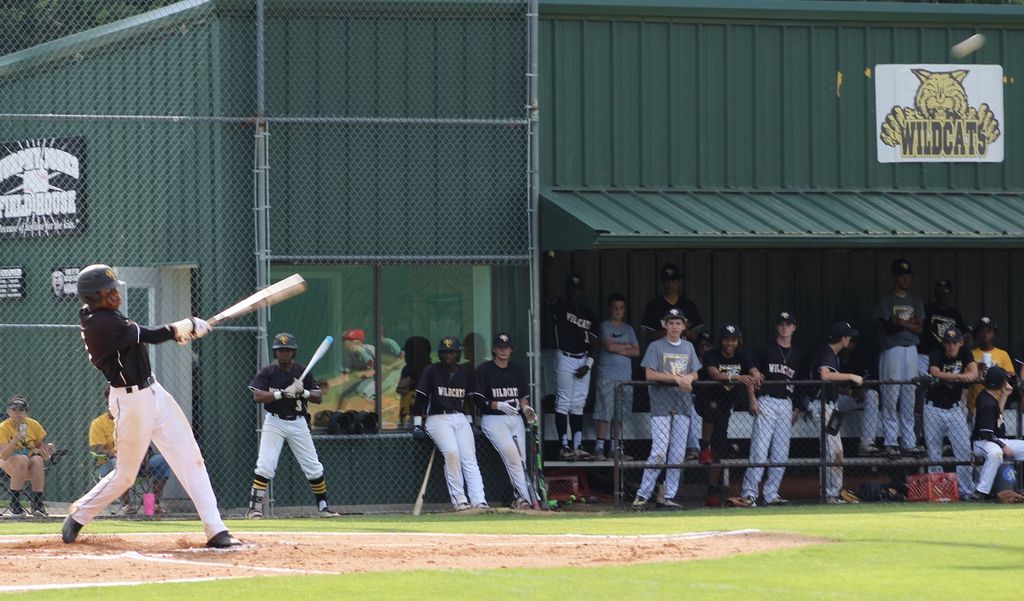 ‘Cats sweep ‘Dogs on season