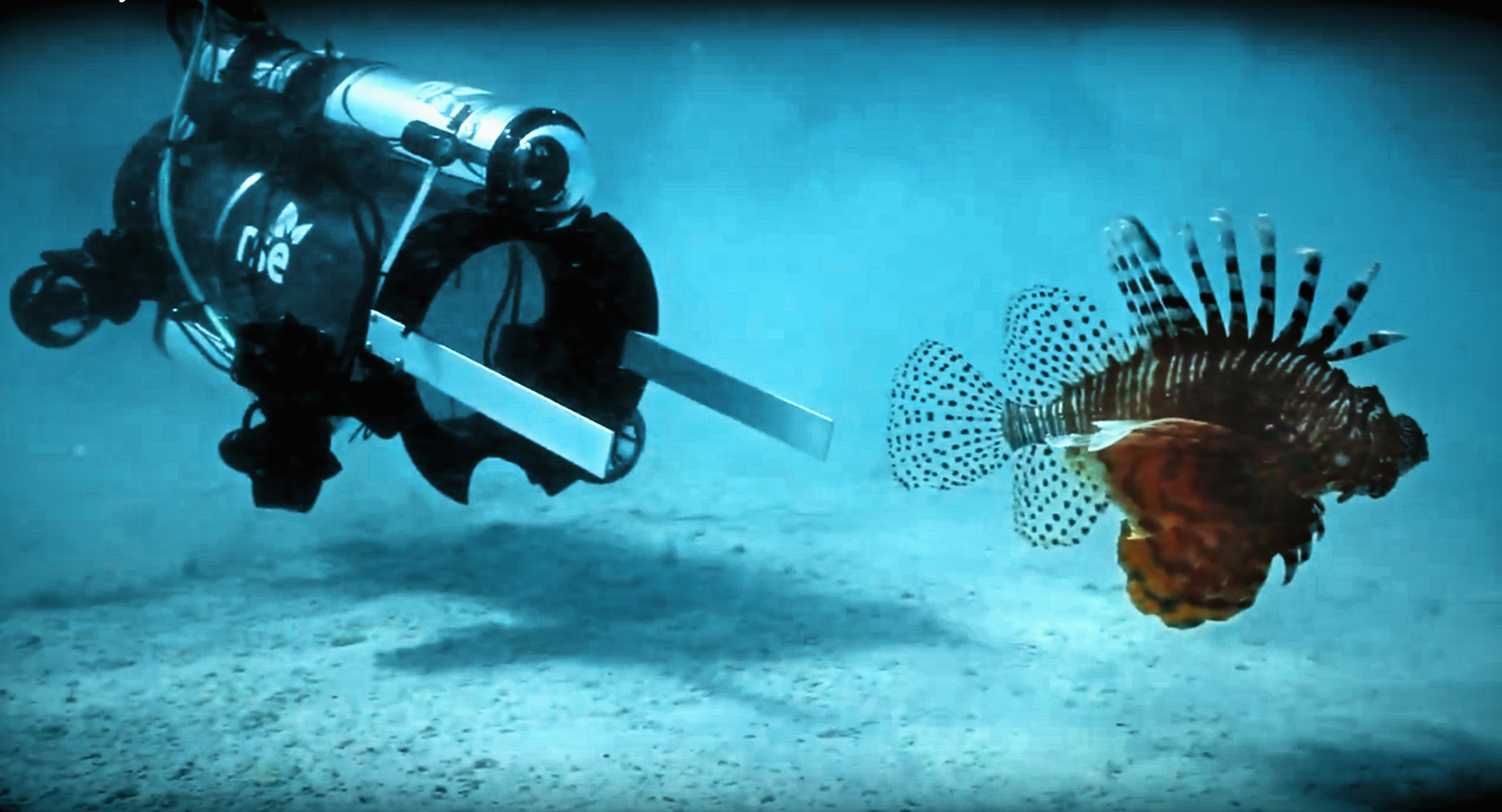 Robots, tasers join battle against invasive species