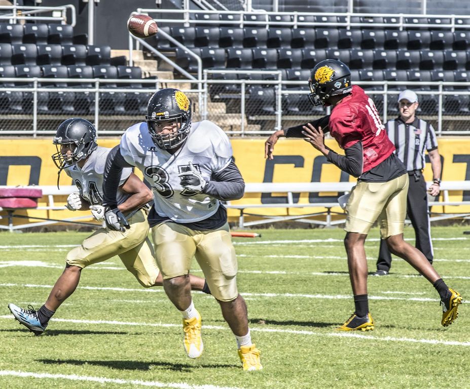UAPB’s Coleman likes what he sees from spring practices