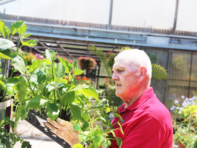 Gardeners out in force, preparing for growing season