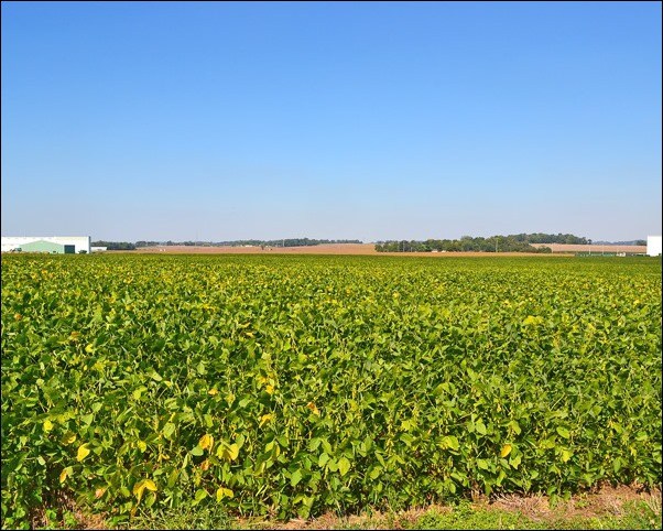 Stuttgart family among District Farm Families of Year