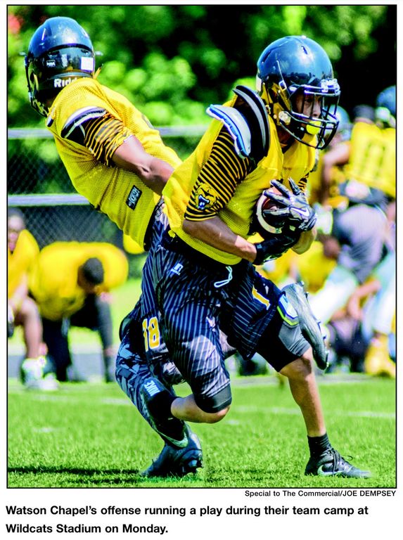 Wildcats host successful team camp