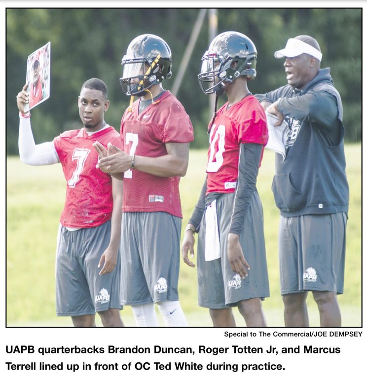 Golden Lions quarterback race getting off to hot start