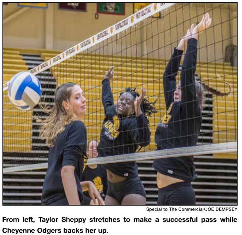 UAPB volleyball preps for season