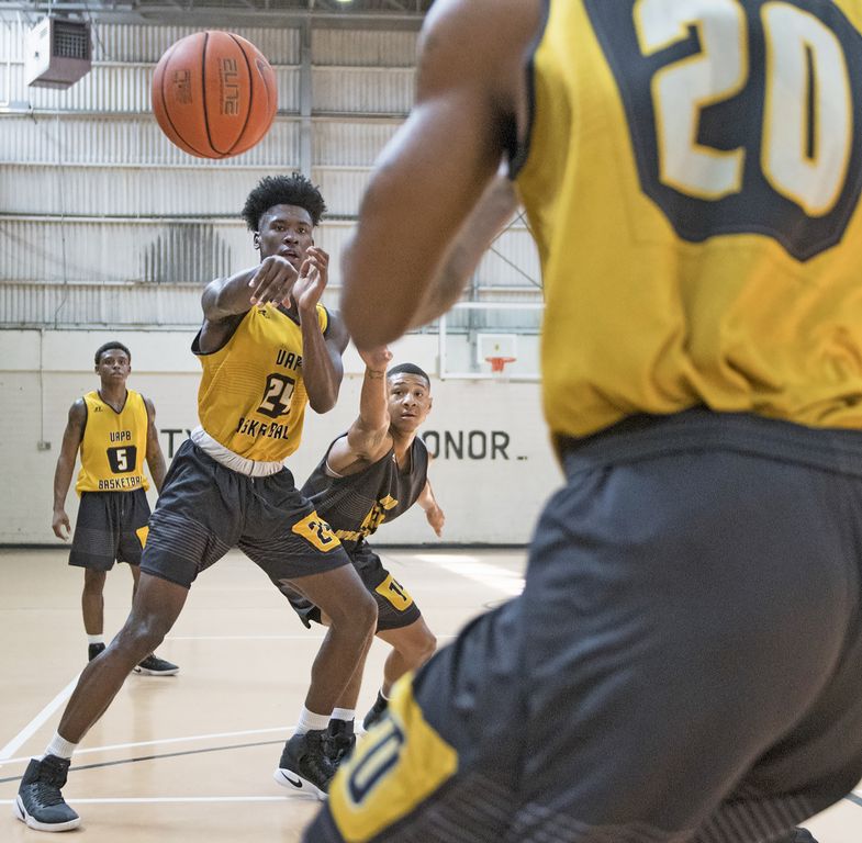 Catching up with Golden Lions basketball as new season nears