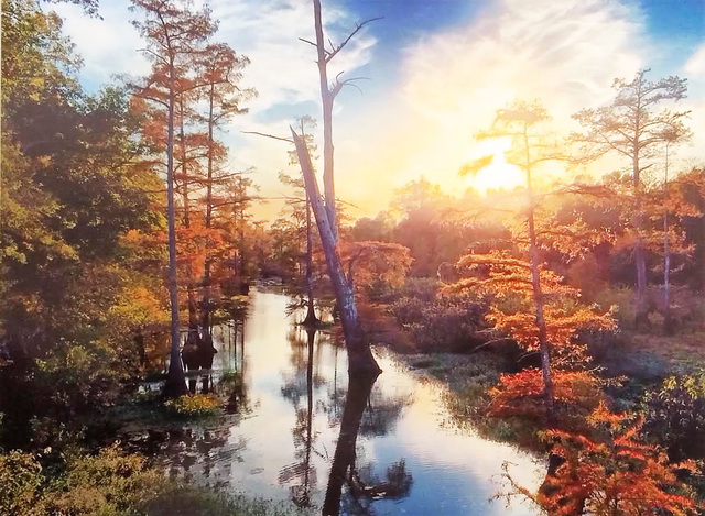 Center names Bayou Bartholomew photo winners
