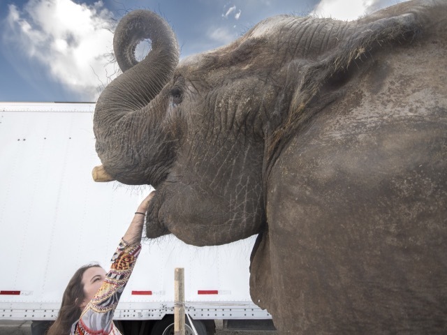 AT THE CIRCUS