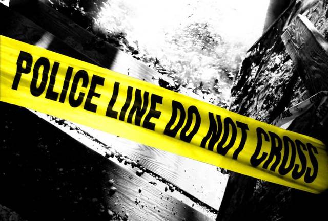 Missing drugs at animal shelter prompt dual investigations