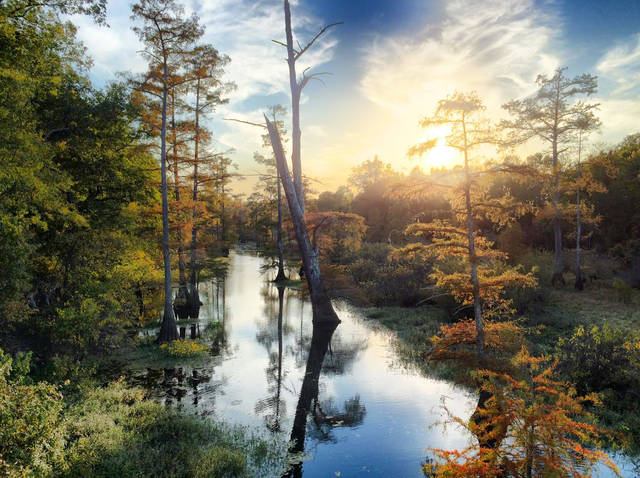 Arts center invites community to activities on Earth Day