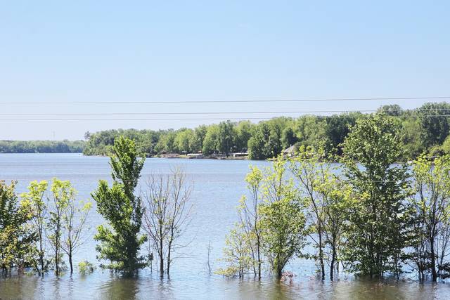 Storms cause flooding, topple trees in area