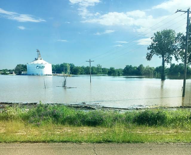 Flooding costs farmers millions in losses