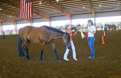 Horse shows, 4-H provide accountability, leadership