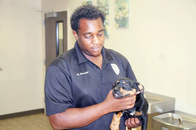 City Council to hear fired animal shelter employee’s appeal