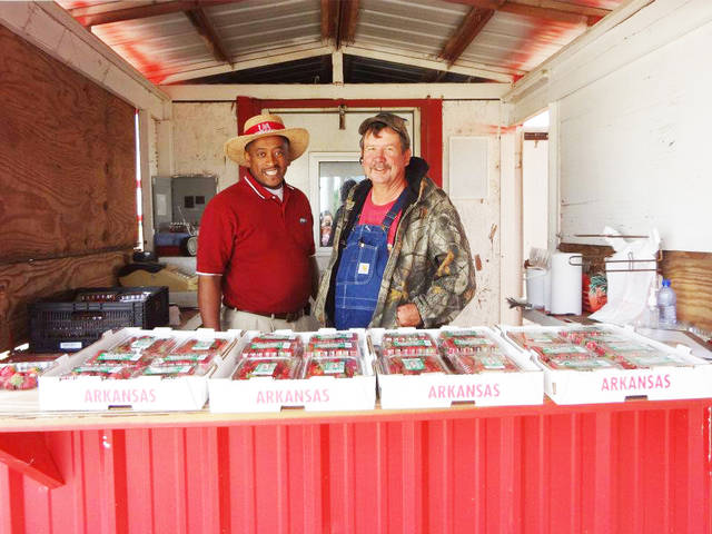 Newport grower benefits from MarketMaker, farm-to-school, FSA programs
