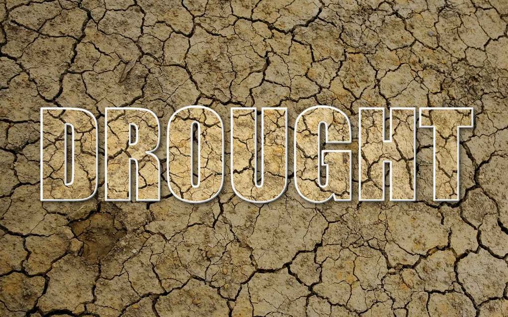 Meteorologists: Arkansas faces potential of flash drought