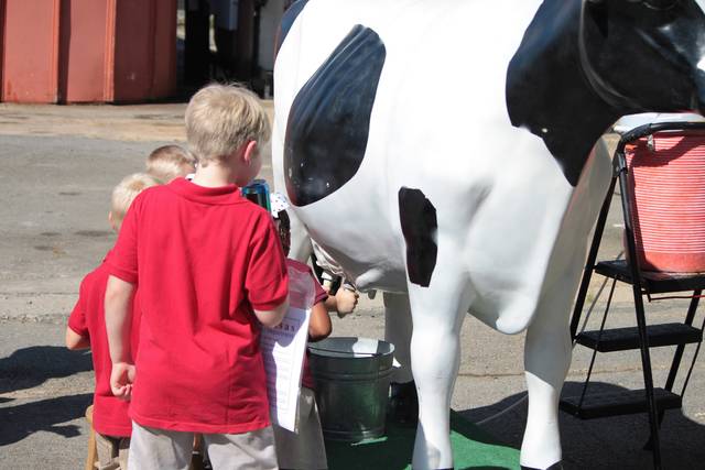 Senior citizens and children enjoy special day at fair