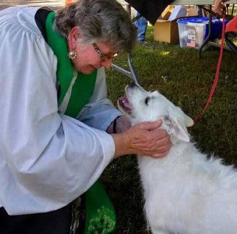 Blessing of the Animals