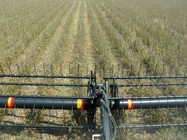 7 Arkansas growers break 100-bushel mark in soybeans