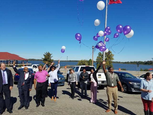 County raises awareness for domestic violence