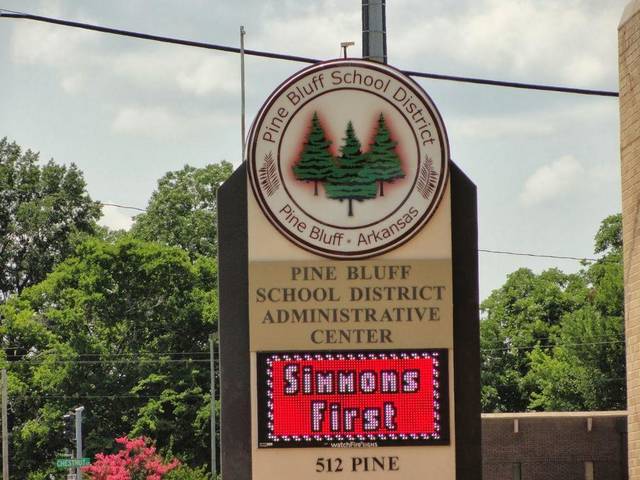 Students in Freedom Schools initiative show progress