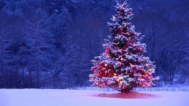 Commercial’s Christmas Card Fund benefits kids