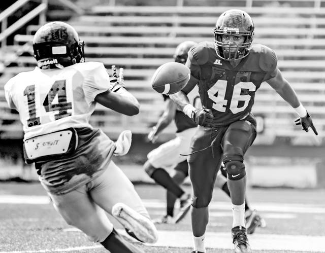 Golden Lions bounce back to have productive scrimmage